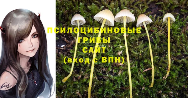 круглые Алексеевка