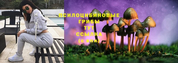 молекула духа Алексин