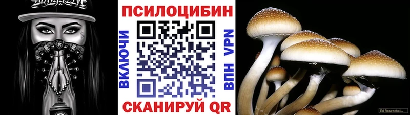 Галлюциногенные грибы прущие грибы где купить наркотик Дорогобуж